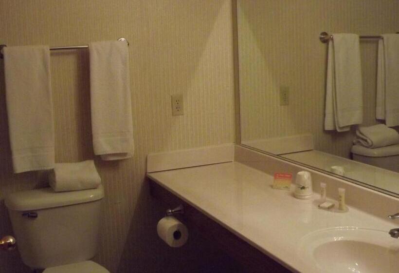 Студио Стандарт Кровать Кинг, Howard Johnson By Wyndham Oacoma Hotel & Suites