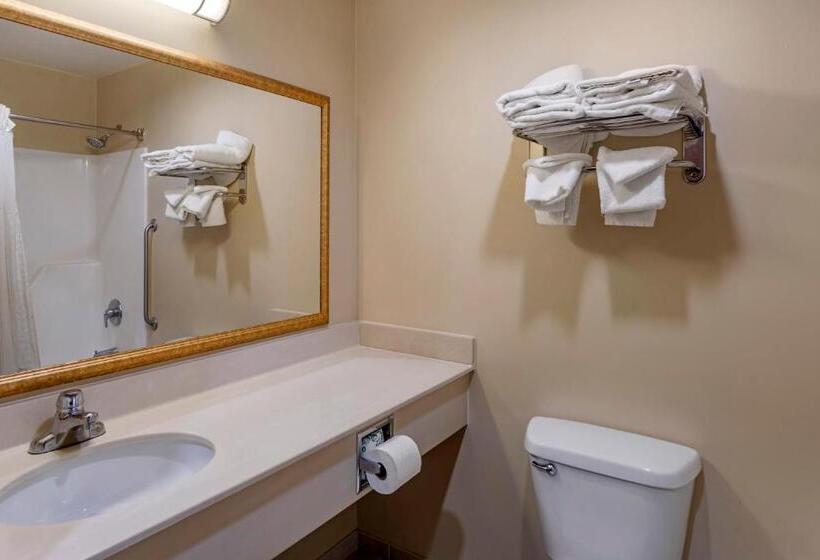 Номер Стандарт, Quality Inn & Suites Rockport   Owensboro North