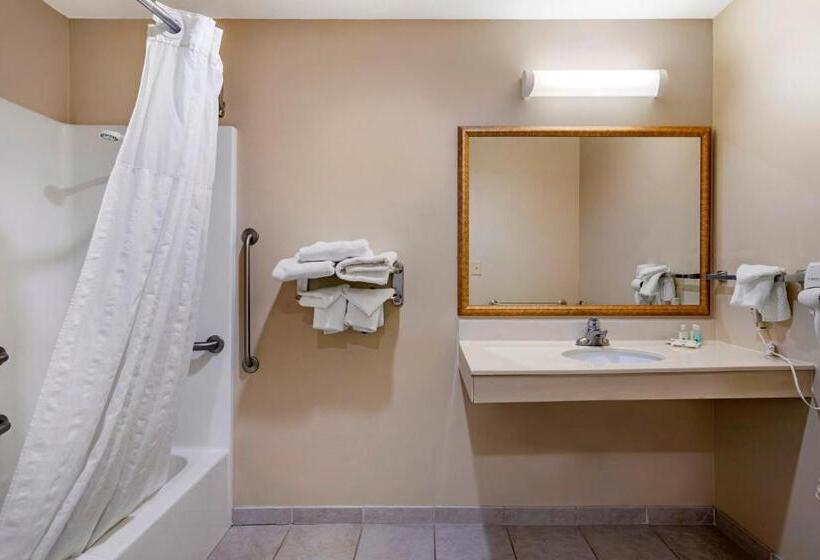 Номер Стандарт Кровать Кинг Адаптированный для Инвалидов, Quality Inn & Suites Rockport   Owensboro North
