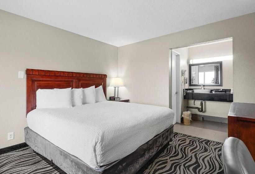 Стандартный Номер Кровать Кинг, Astoria Rivershore Motel