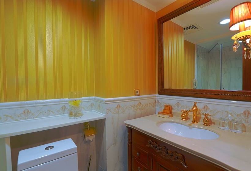 اتاق استاندارد با چشم‌انداز شهر, Diplomat Hotel By Ag Hotels Group