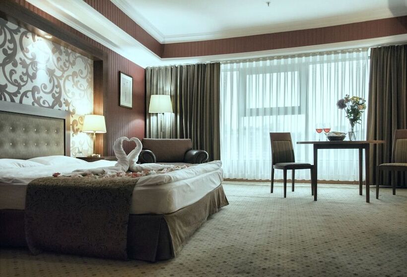 اتاق استاندارد با چشم‌انداز شهر, Diplomat Hotel By Ag Hotels Group