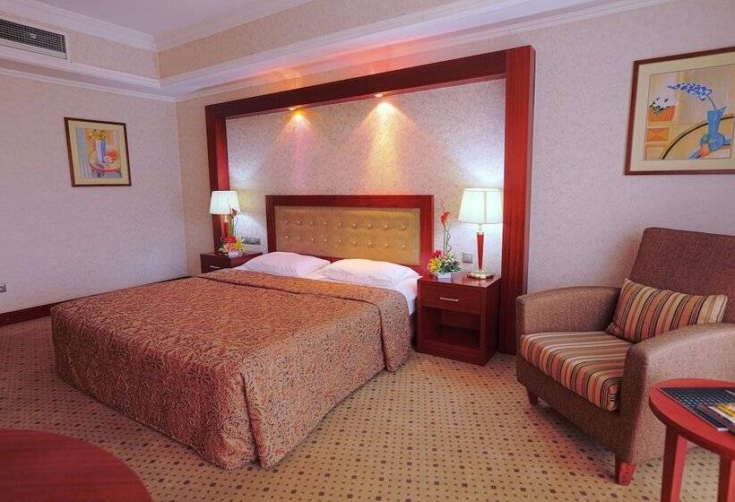 اتاق استاندارد با چشم‌انداز شهر, Diplomat Hotel By Ag Hotels Group