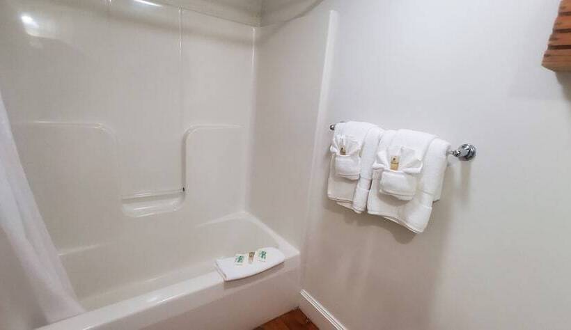 اتاق استاندارد چهار تخته, Old Orchard Beach Inn