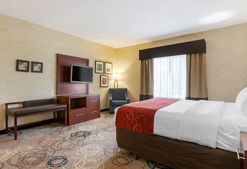 Люкс Адаптированный для Инвалидов, Comfort Suites Southfield Detroit