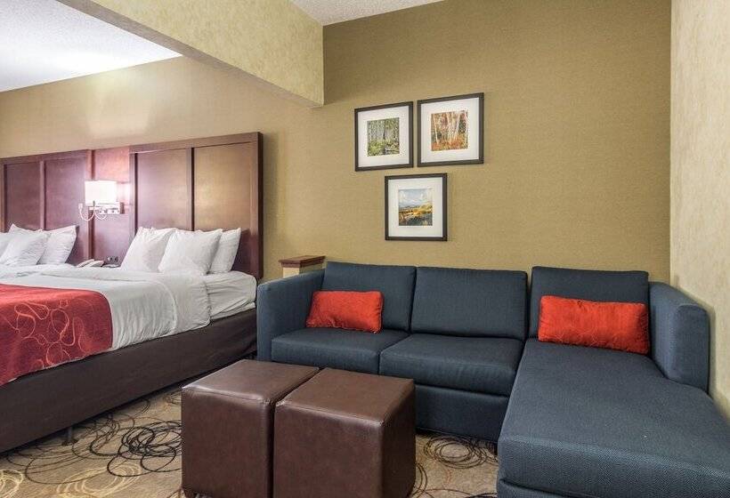 Люкс, Comfort Suites Southfield Detroit