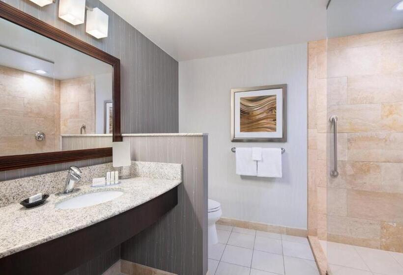 带大床的套房, Courtyard By Marriott Pittsburgh Washington Meadow Lands