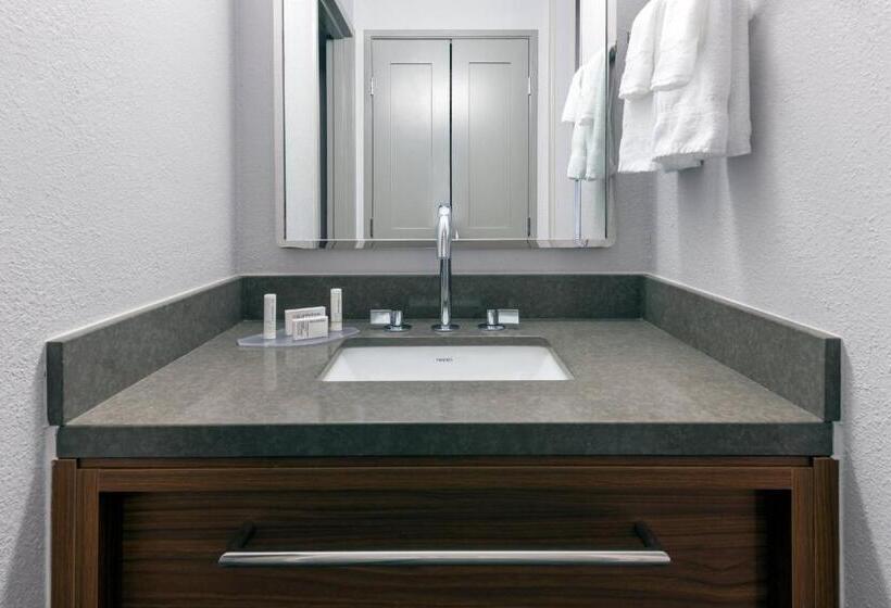 스탠다드 룸 킹사이즈 침대, Courtyard Tallahassee North/i10 Capital Circle