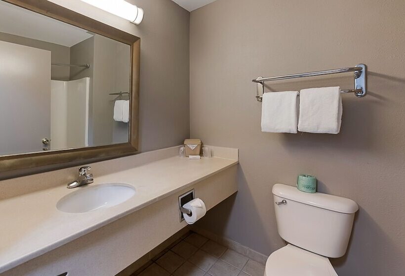 Номер Deluxe Адаптированный для Инвалидов, Red Roof Inn Newport News  Yorktown