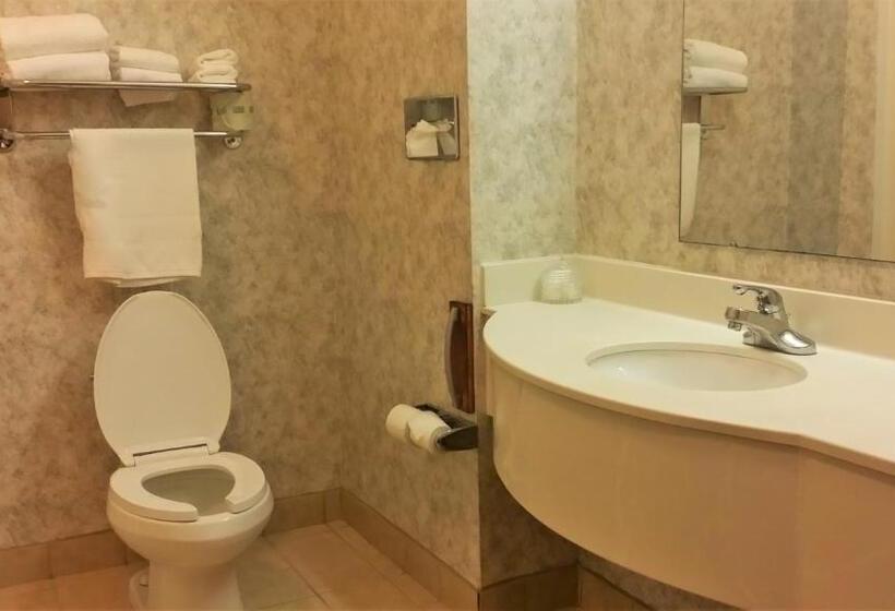 غرفة قياسية سرير كينج, Budget Host Inn