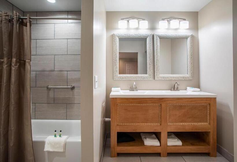 اتاق استاندارد با تخت بزرگ, Hershey Farm Resort