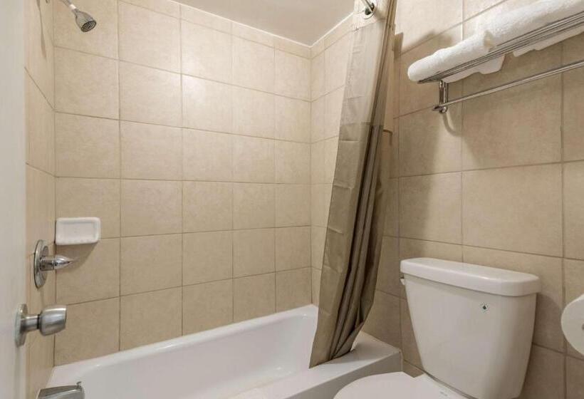 Стандартный Номер Кровать Кинг, Motel 6schenectady, Ny