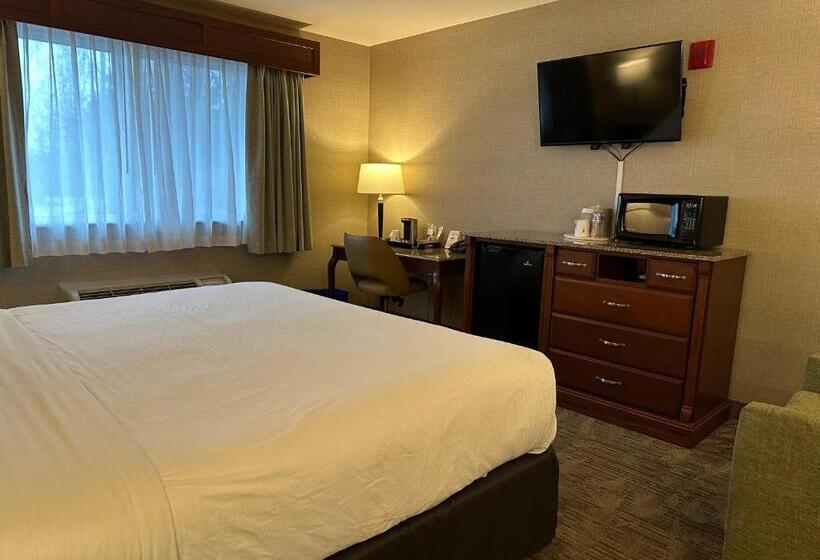 Номер Стандарт, Medallion Inn And Suites