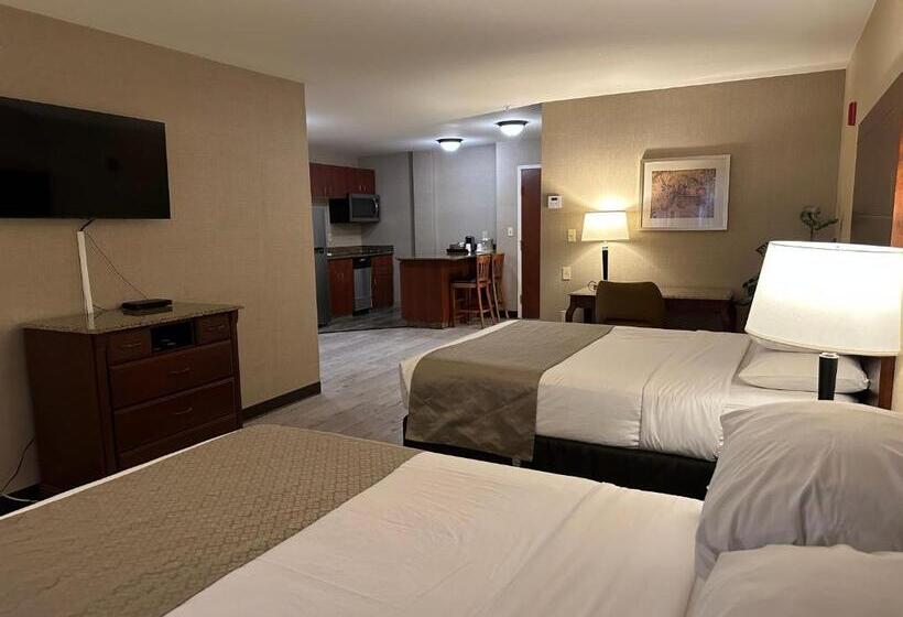 Люкс Повышенной Комфортности, Medallion Inn And Suites