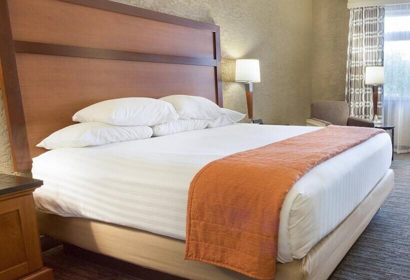 سوییت, Drury Inn & Suites Flagstaff