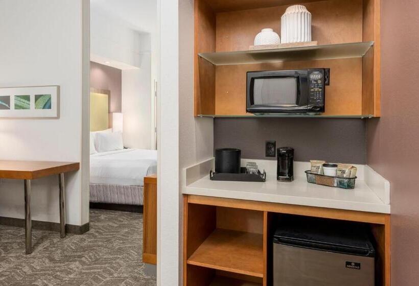 Студио Стандарт Кровать Кинг, Springhill Suites By Marriott Lafayette South At River Ranch