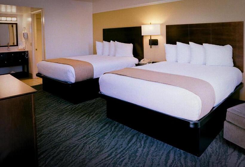 Номер Стандарт, Pines Inn & Suites