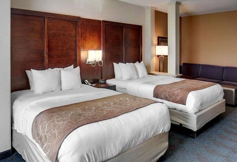 Люкс Адаптированный для Инвалидов, Comfort Suites Texarkana Arkansas