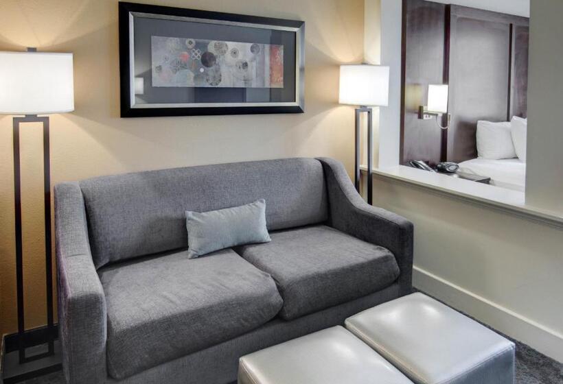 Люкс Адаптированный для Инвалидов, Comfort Suites Texarkana Arkansas