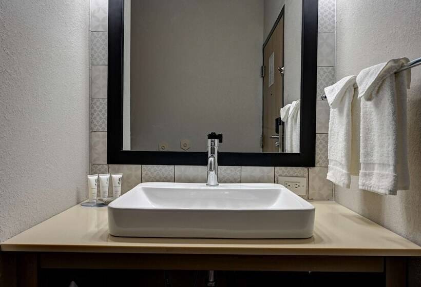 스탠다드 룸 킹사이즈 침대, Country Inn & Suites By Radisson, Pierre, Sd