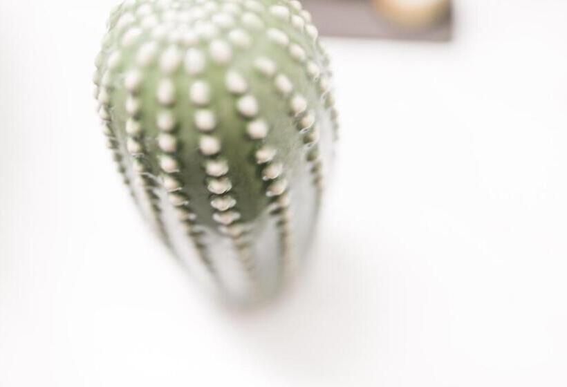 اتاق استاندارد با چشم‌انداز, Agave Santorini Design Boutique