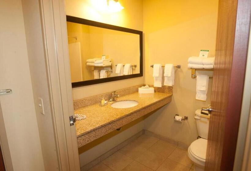 Стандартный Номер Кровать Кинг, Cobblestone Inn & Suites  Carrington