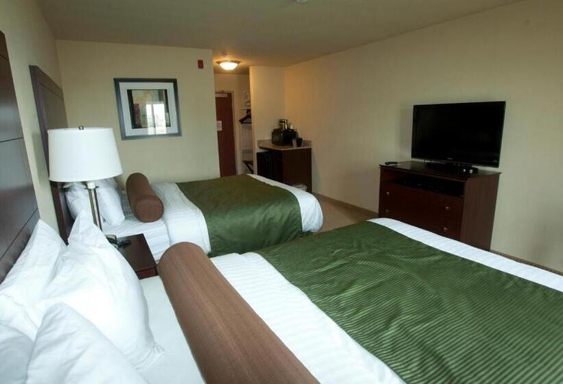 Номер Стандарт Адаптированный для Инвалидов, Cobblestone Inn & Suites  Carrington