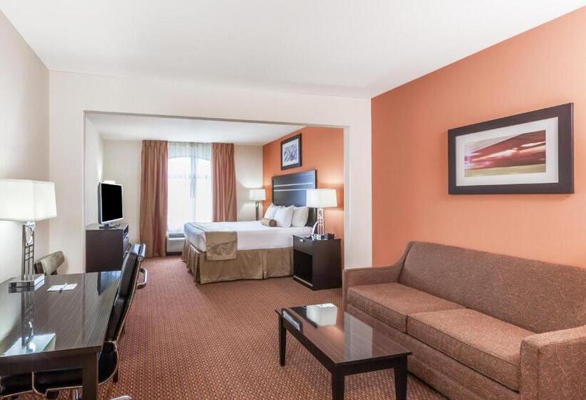 اتاق استاندارد با تخت بزرگ, La Quinta Inn & Suites By Wyndham Tulsa Midtown