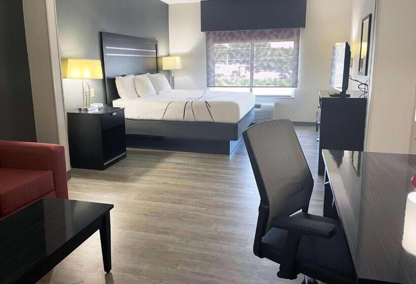 سوئیت با تخت بزرگ, La Quinta Inn & Suites By Wyndham Tulsa Midtown
