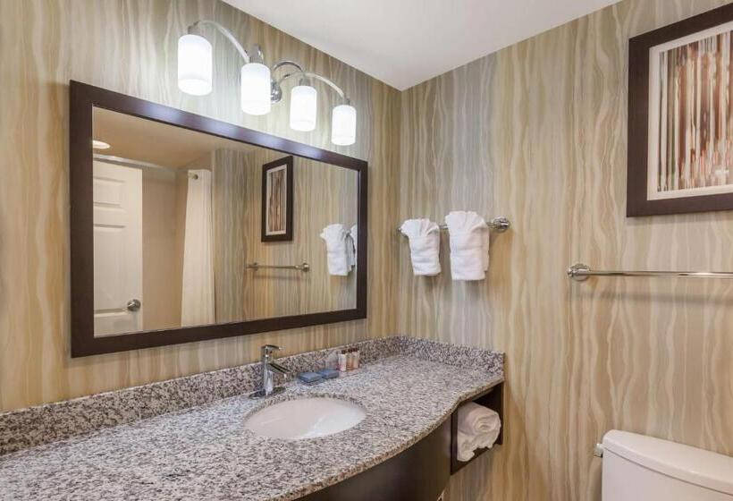 اتاق استاندارد, La Quinta Inn & Suites By Wyndham Tulsa Midtown