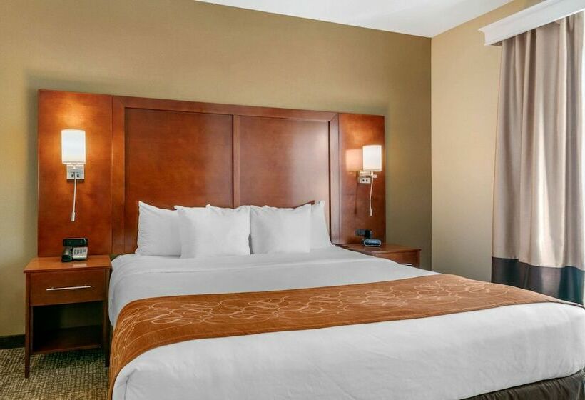 Люкс, Comfort Suites