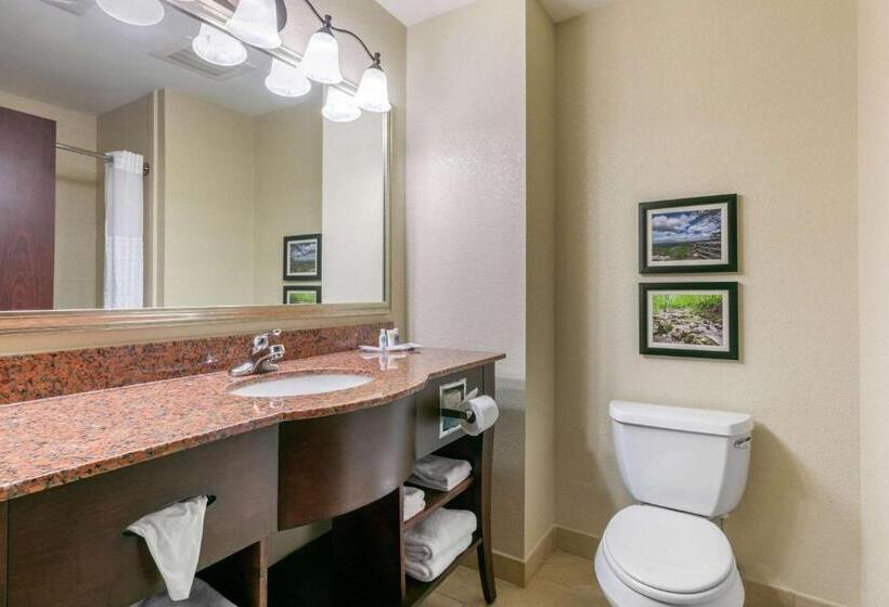Люкс Кровать Кинг, Comfort Suites