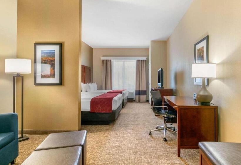 Люкс, Comfort Suites