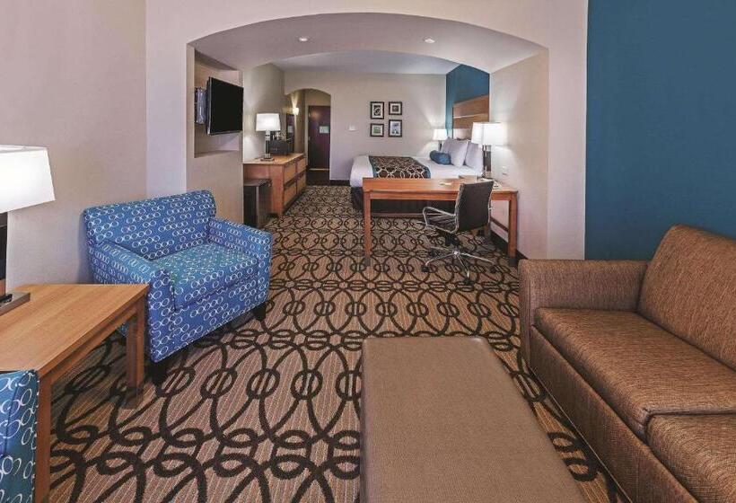 اتاق دلوکس مخصوص معلولین, La Quinta By Wyndham Houston Willowbrook