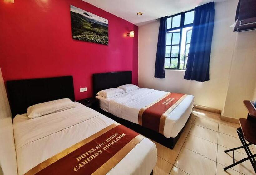 Quarto Triplo Estandar, Sun Birds