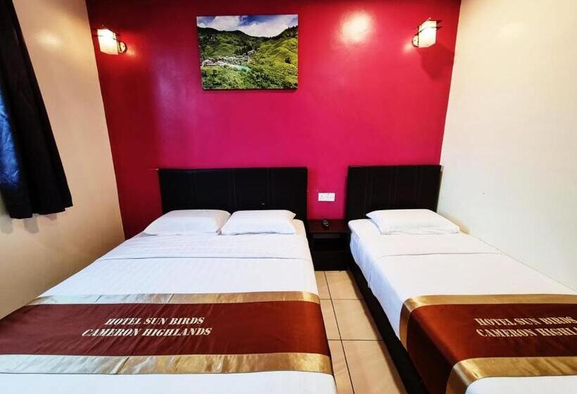 Quarto Triplo Estandar, Sun Birds