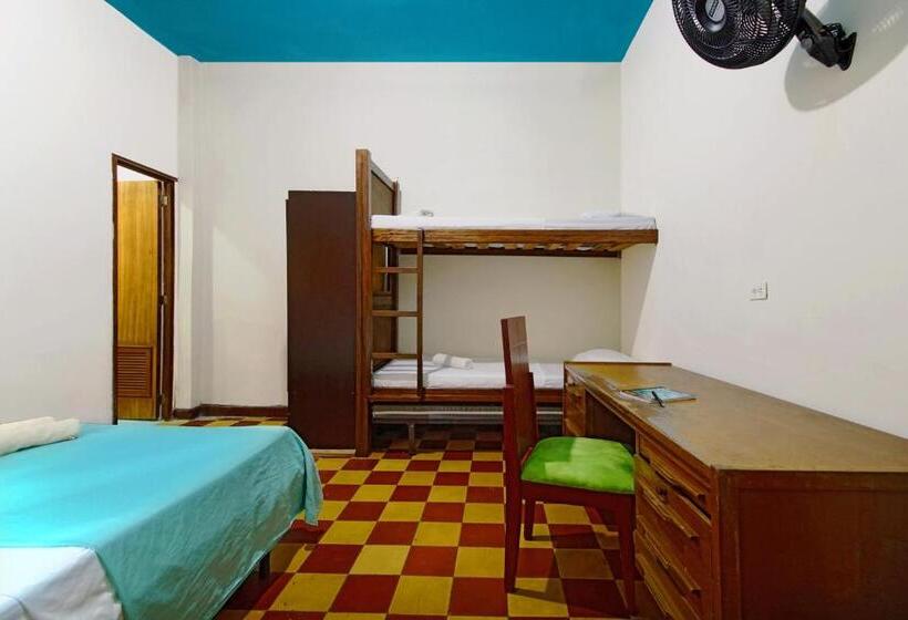 4인용 스탠다드 룸, Ding Dong Hostel