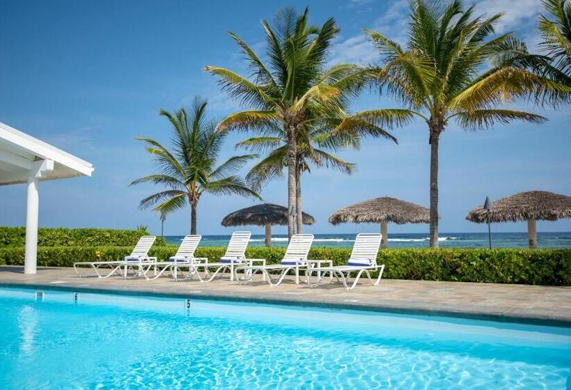 استودیو استاندارد با تخت کینگ, Le Soleil D Or