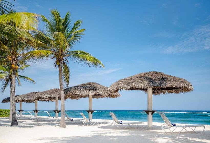 استودیو استاندارد با تخت کینگ, Le Soleil D Or