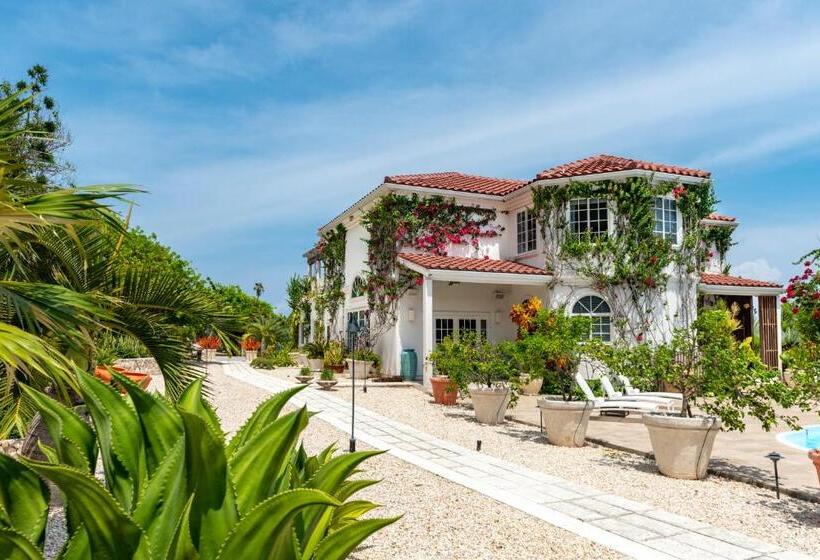 اتاق لوکس با تخت بزرگ, Le Soleil D Or