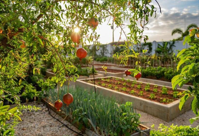 ویلای 3 خوابه, Le Soleil D Or