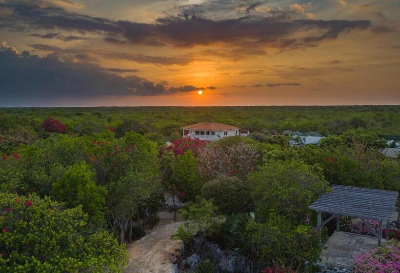 ویلای 3 خوابه, Le Soleil D Or