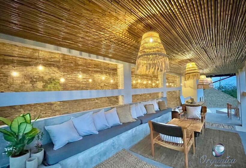 استودیوی استاندارد با چشم‌انداز دریا, Organica Yoga Shelter