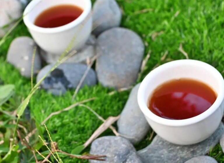 빌라 1 베드룸 - 수영장, Shanti Wellness Sanctuary