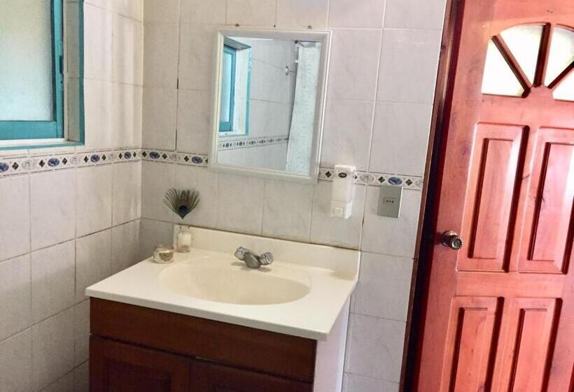 Cama em Quarto Compartilhado, Hostel Raiz