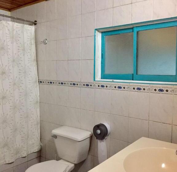 Quarto Estandar Banheiro Compartilhado, Hostel Raiz