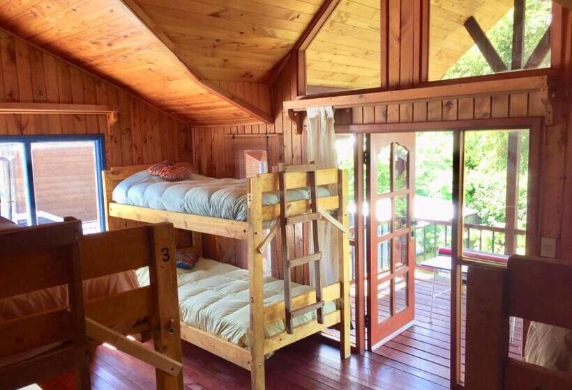 Cama em Quarto Compartilhado, Hostel Raiz