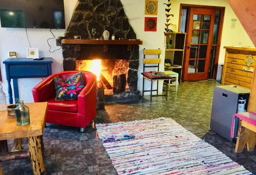 Quarto Estandar, Hostel Raiz