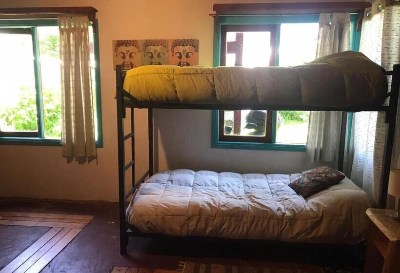 Cama em Quarto Compartilhado, Hostel Raiz