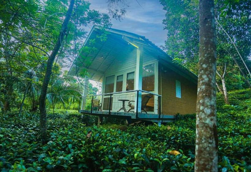 シャレー・スペリアー1寝室, Ilukketiya Tea Chalets